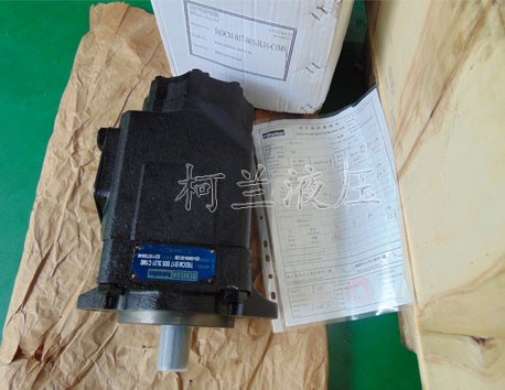 丹尼逊T6DCM B17 B05 3L01 C1M0 叶片泵